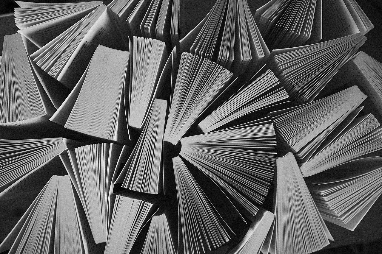 European Parliament Public Register of Documents